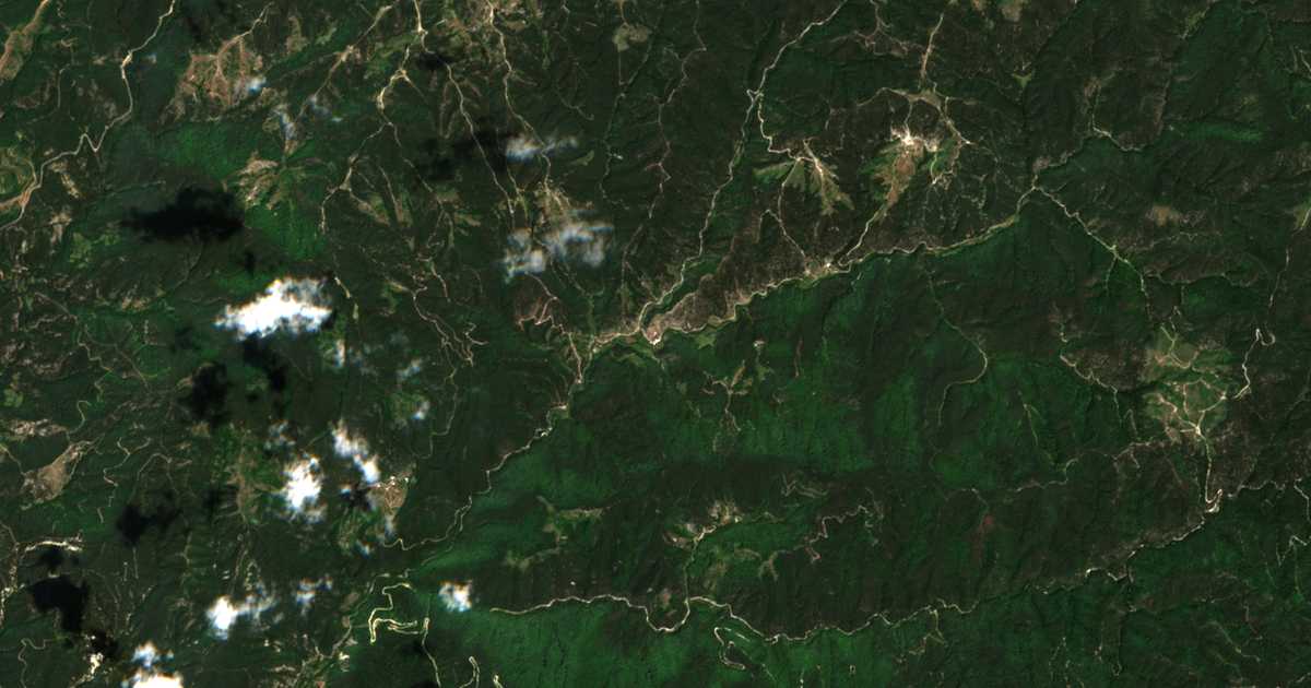 Hartă satelitară: Palatik