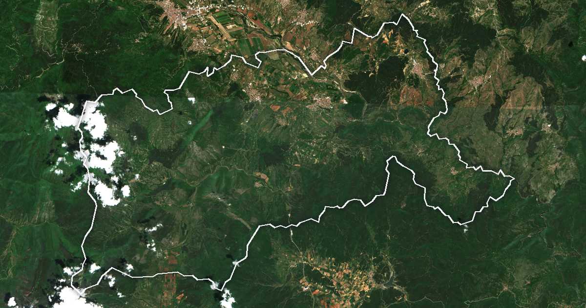 Imagine din satelit cu limita trasată: Hadjidimovo