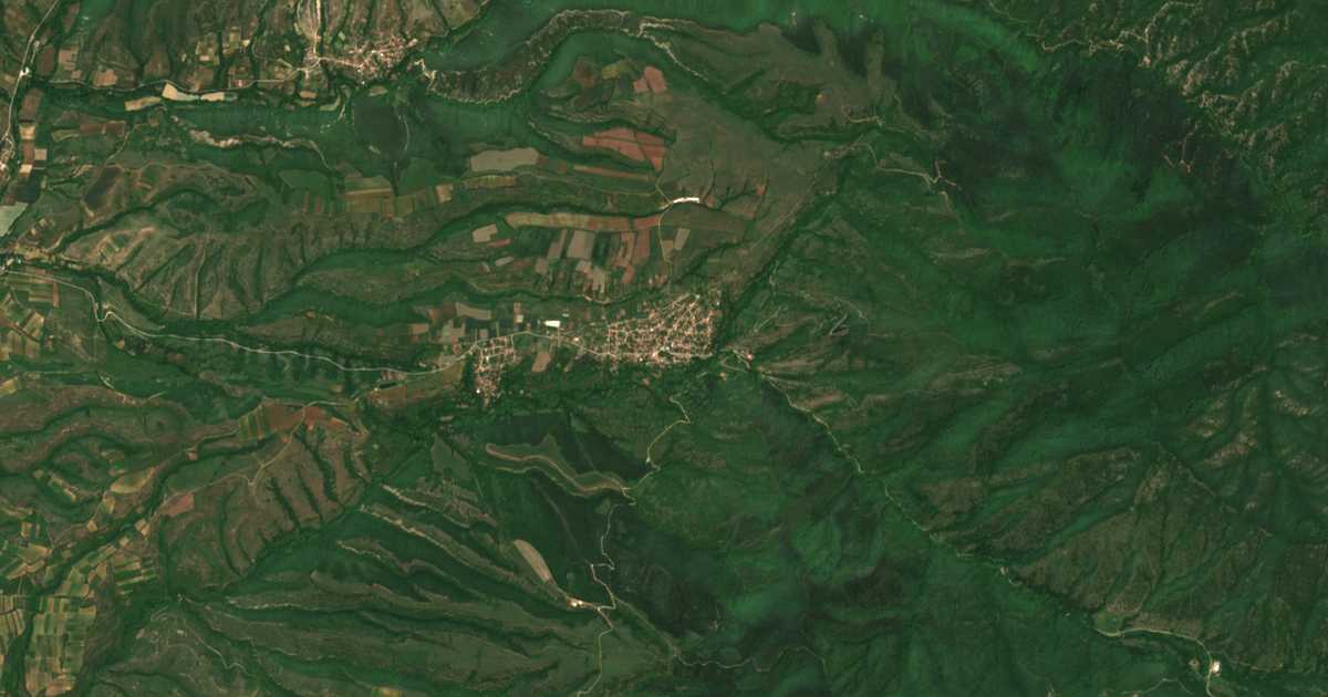 Hartă satelitară: Petrovo