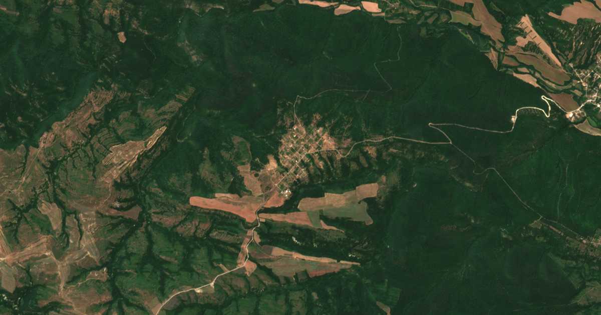 Hartă satelitară: Panițovo