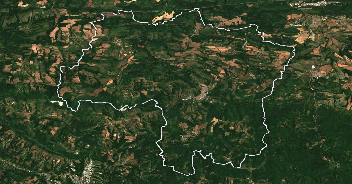 Imagine din satelit cu limita trasată: Dreanovo