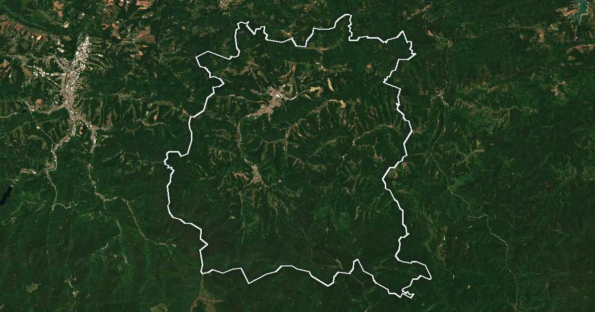 Imagine din satelit cu limita trasată: Treavna