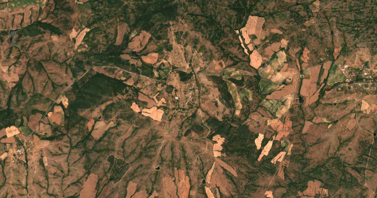 Hartă satelitară: Branița