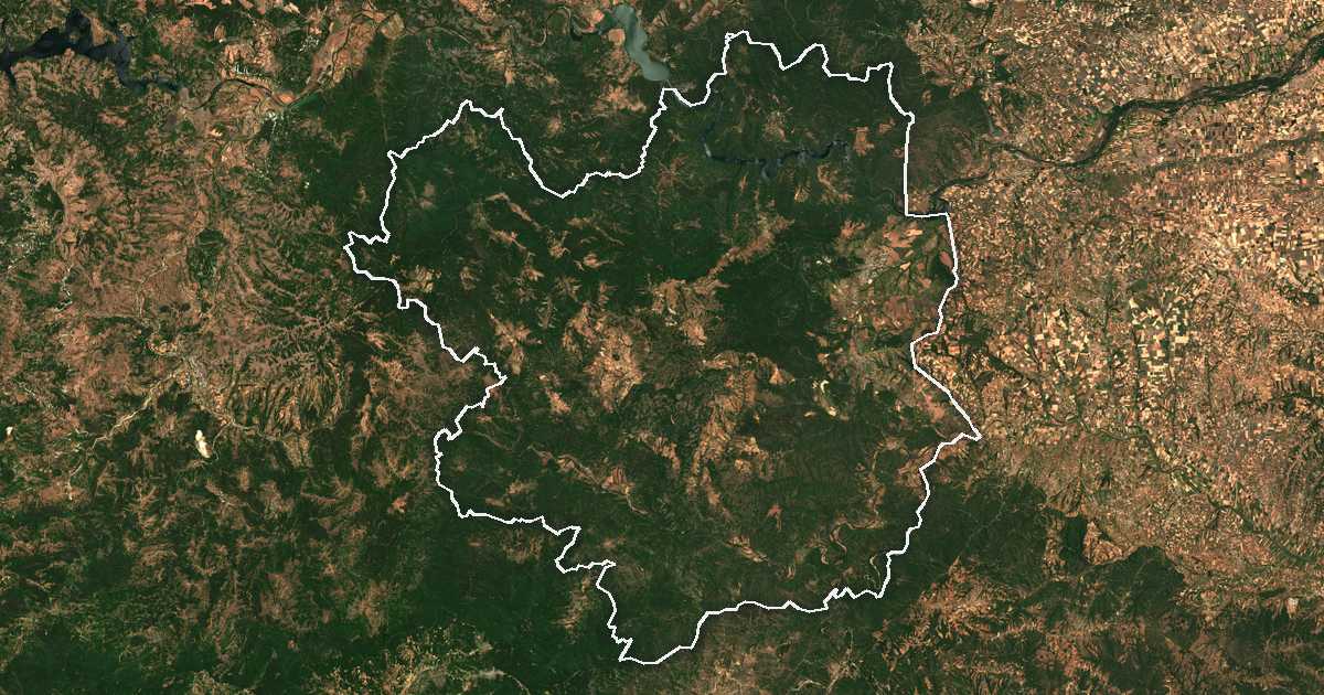 Imagine din satelit cu limita trasată: Ivailovgrad