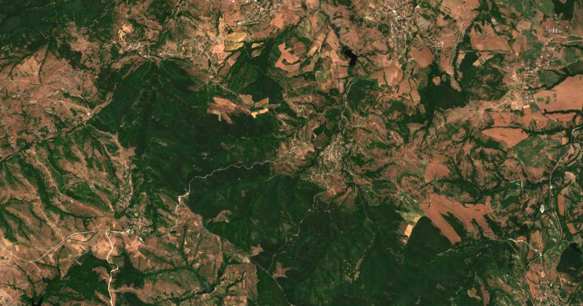 Hartă satelitară: Vinevo