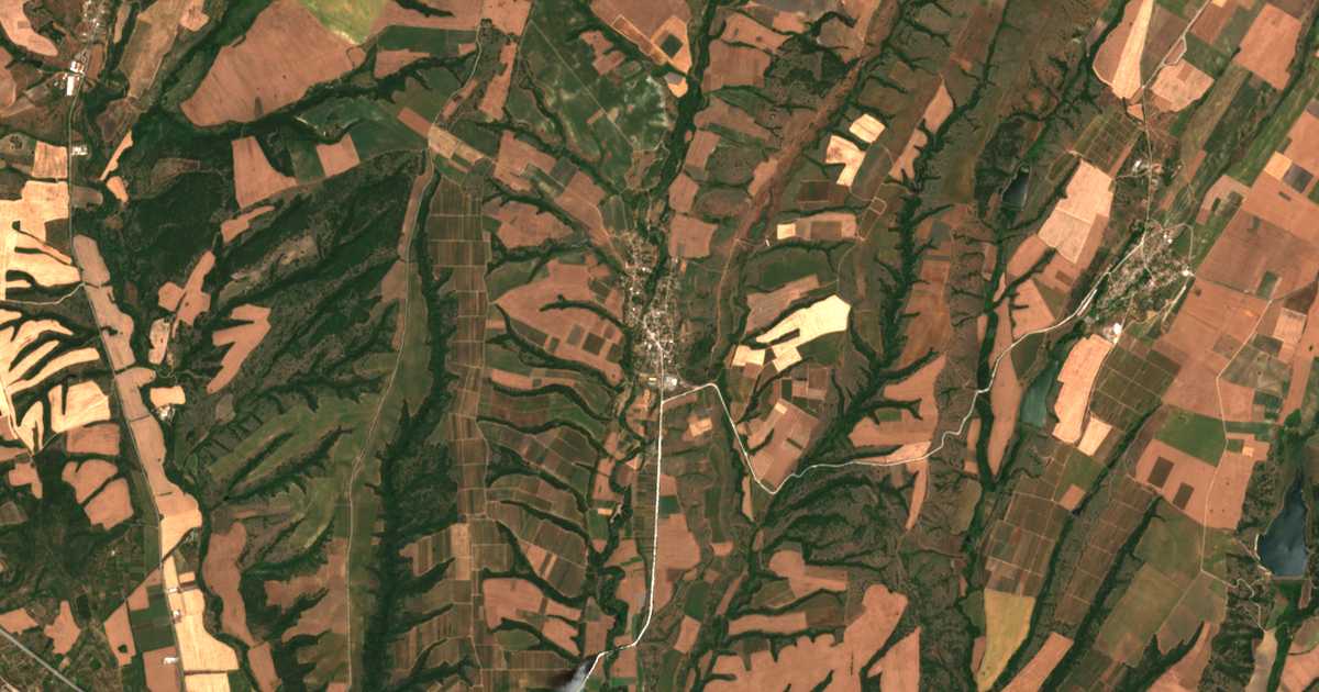 Hartă satelitară: Dimitrovce