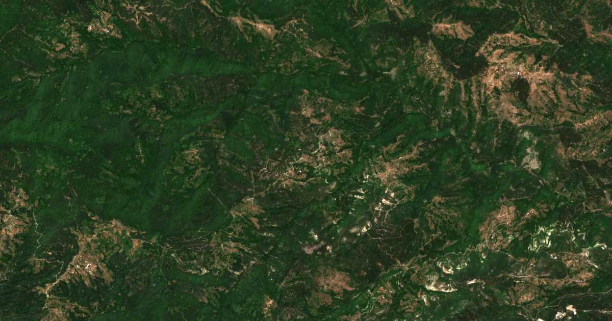 Hartă satelitară: Jăltika