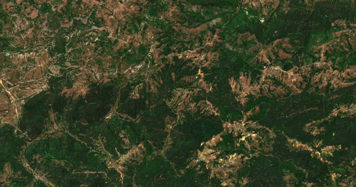 Hartă satelitară: Grivka
