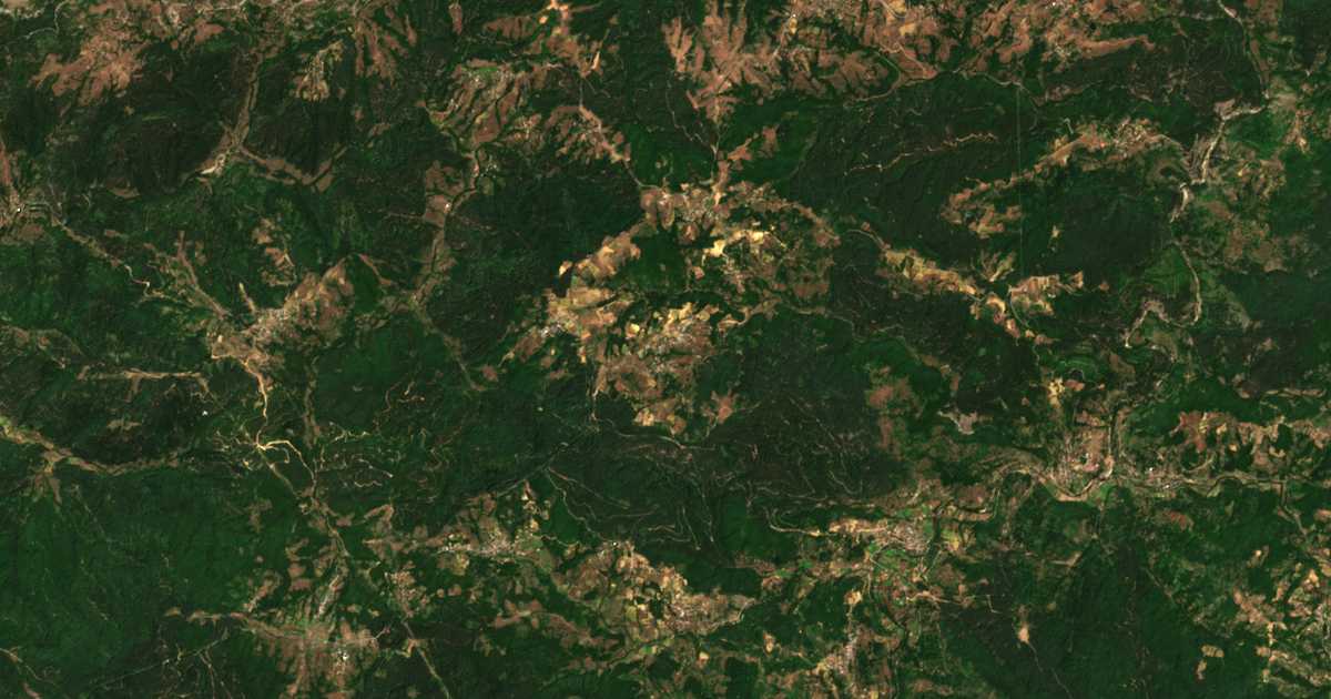 Hartă satelitară: Pașinți