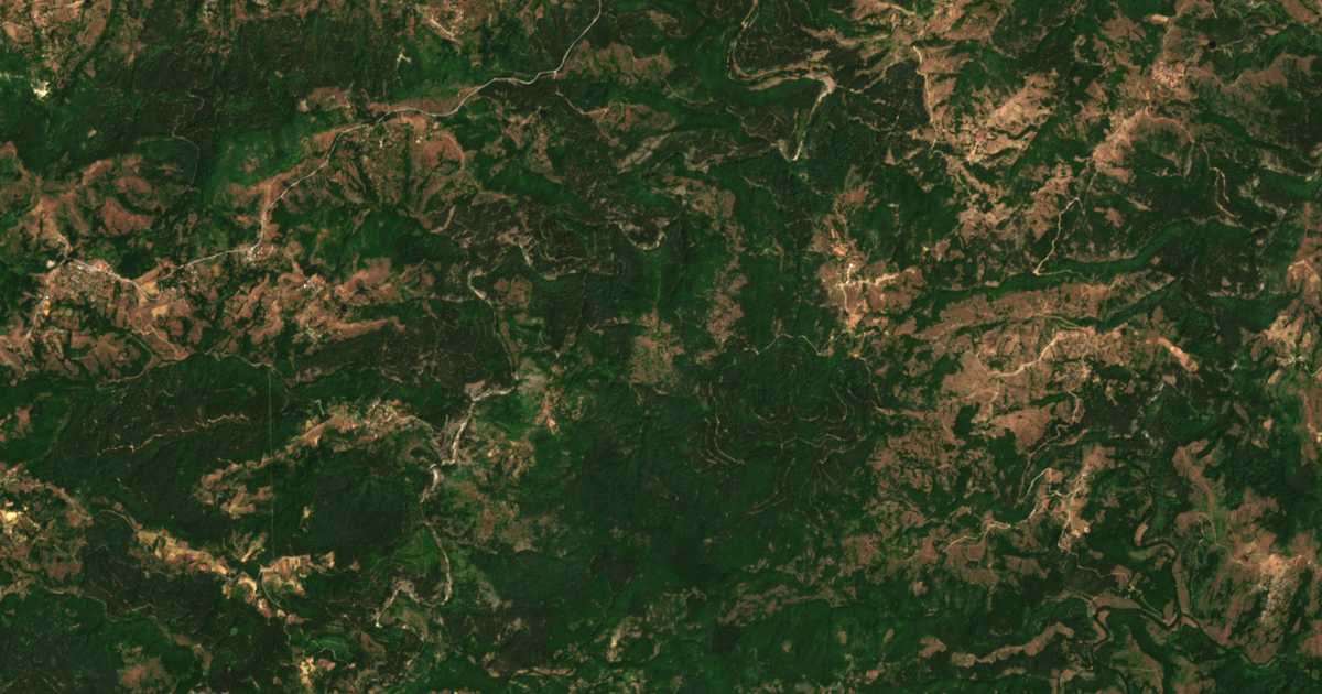 Hartă satelitară: Rucei