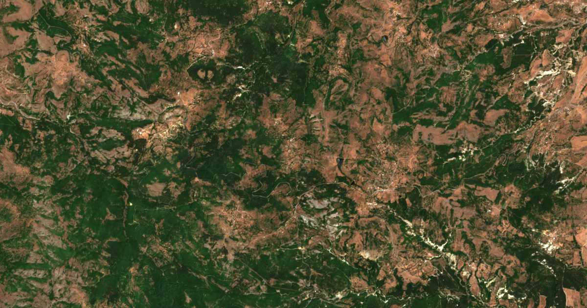Hartă satelitară: Austa