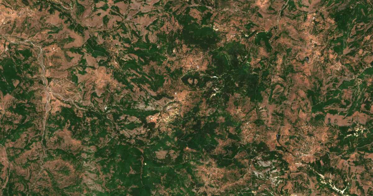 Hartă satelitară: Piaveț
