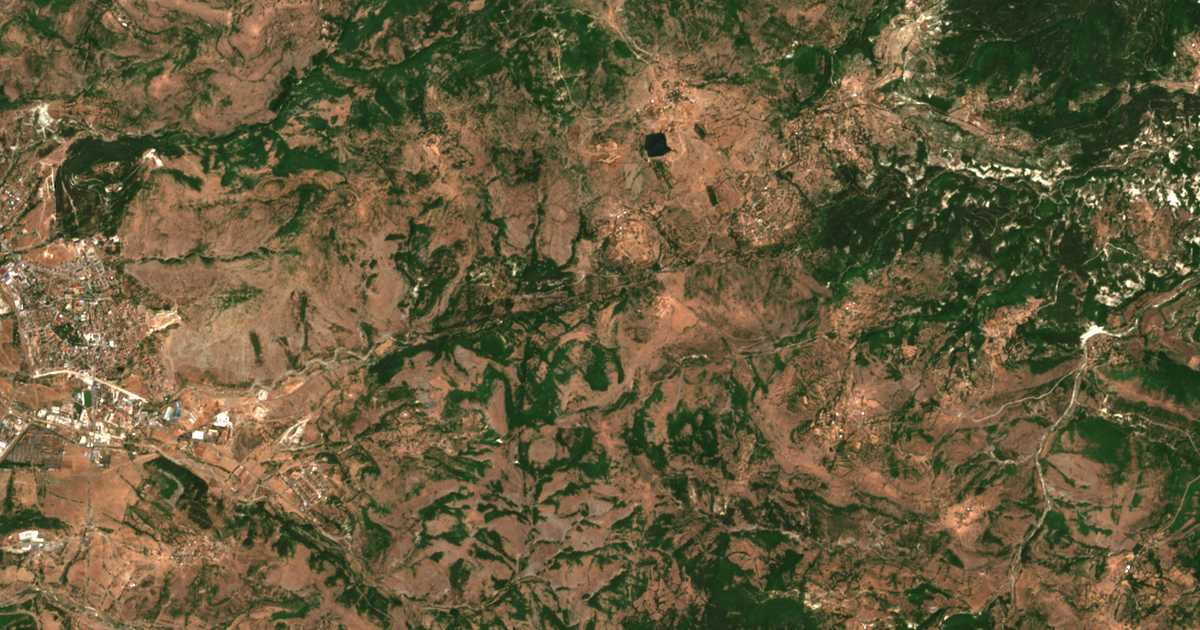 Hartă satelitară: Pleșinți