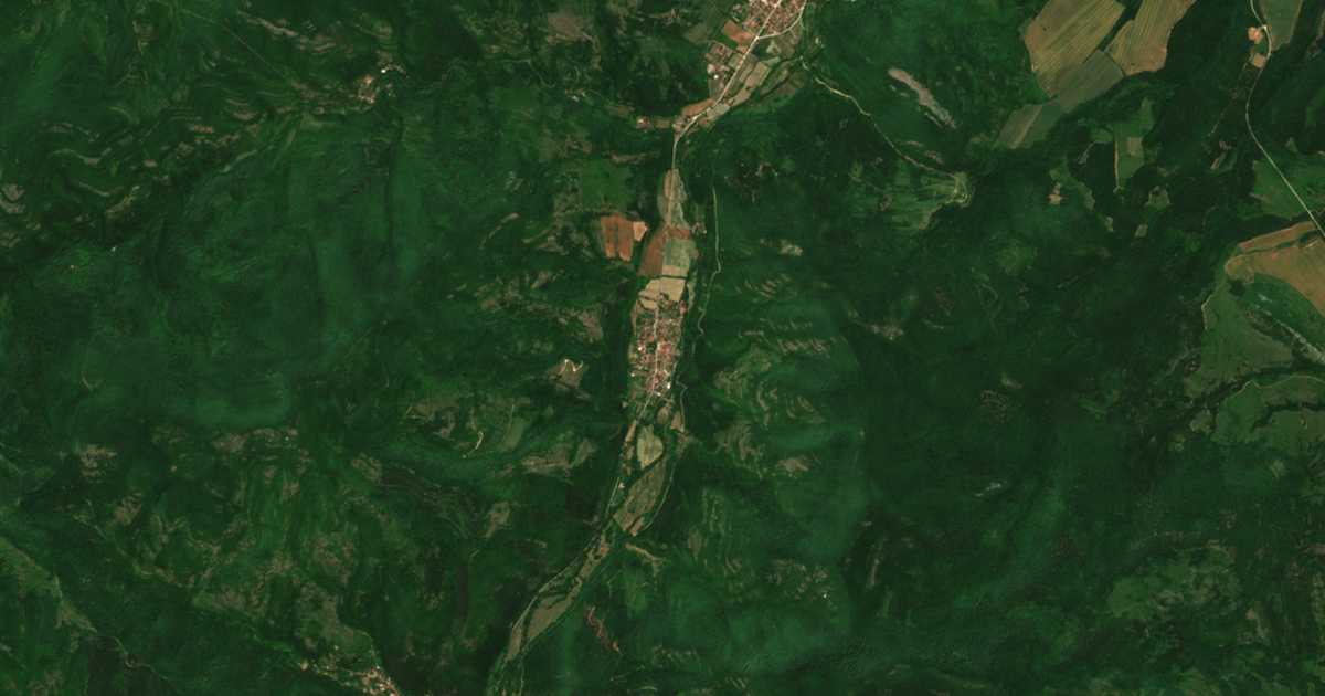 Hartă satelitară: Meleane