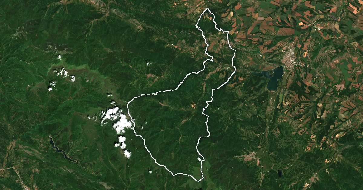 Imagine din satelit cu limita trasată: Gheorghi Dameanovo