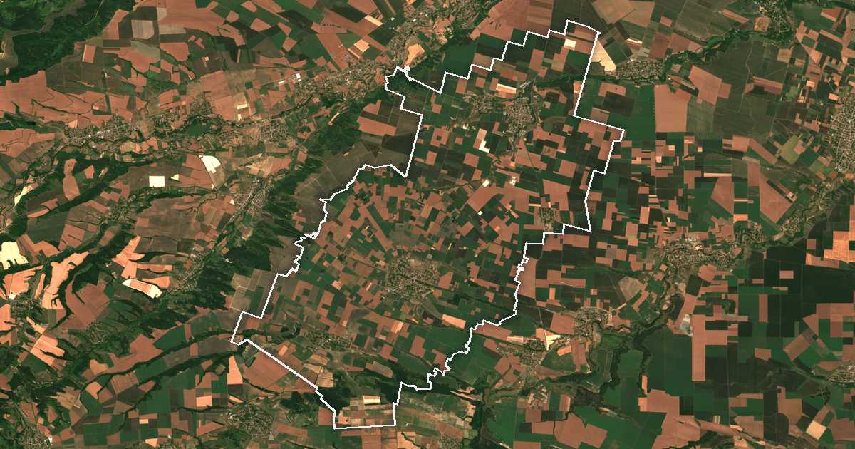 Imagine din satelit cu limita trasată: Medkoveț