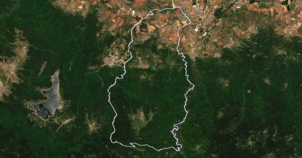 Imagine din satelit cu limita trasată: Brațigovo