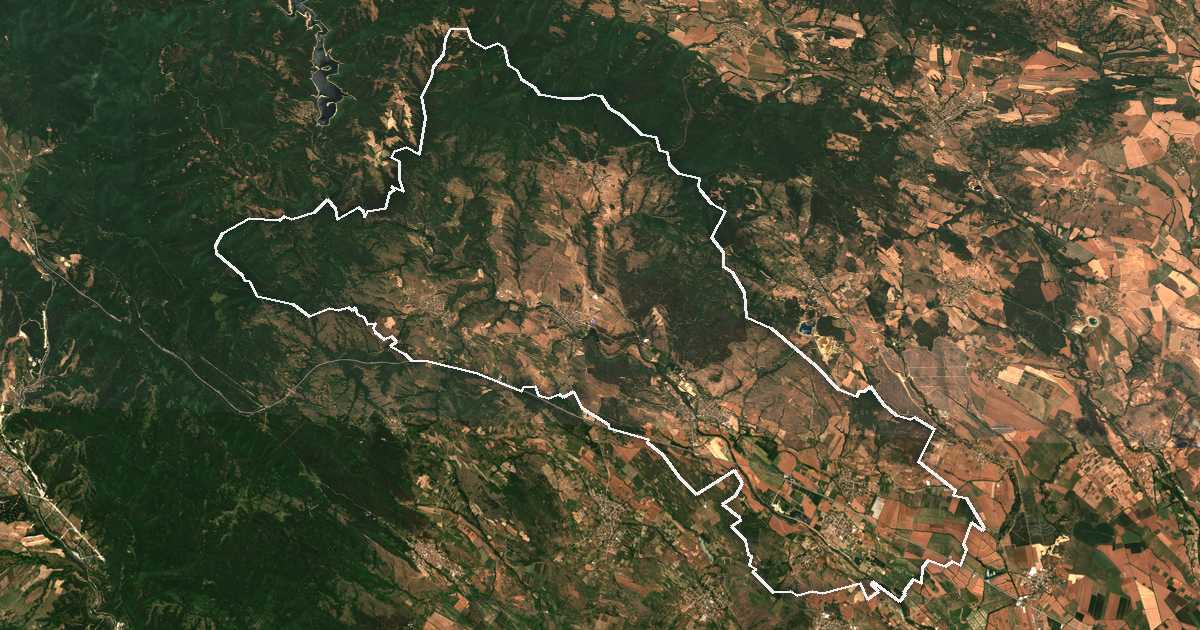 Imagine din satelit cu limita trasată: Lesiciovo