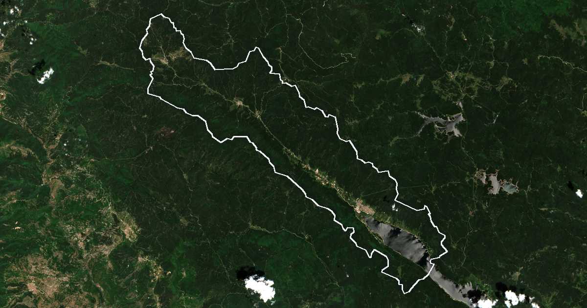 Imagine din satelit cu limita trasată: Sǎrnica