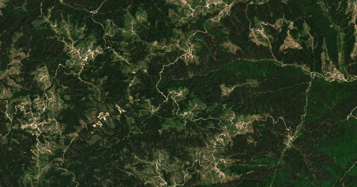 Hartă satelitară: Butreva