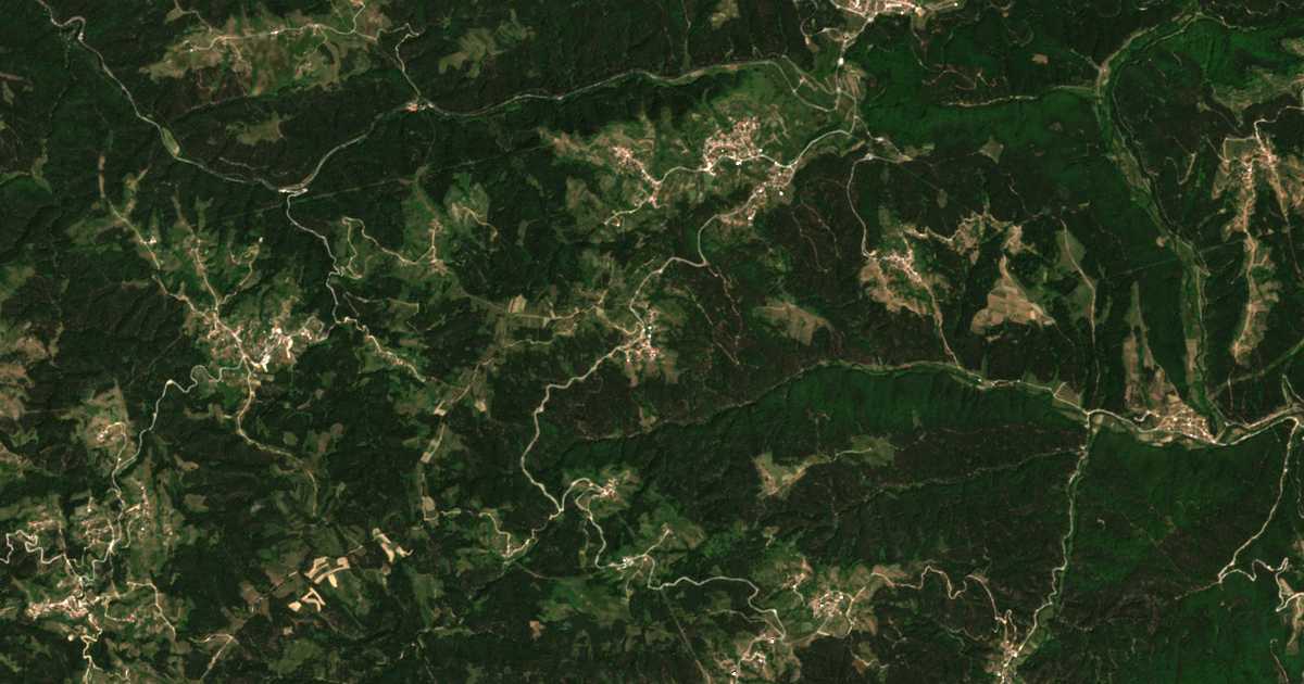 Hartă satelitară: Rohleva