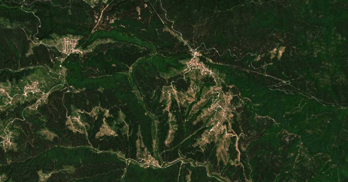 Hartă satelitară: Vsemirți