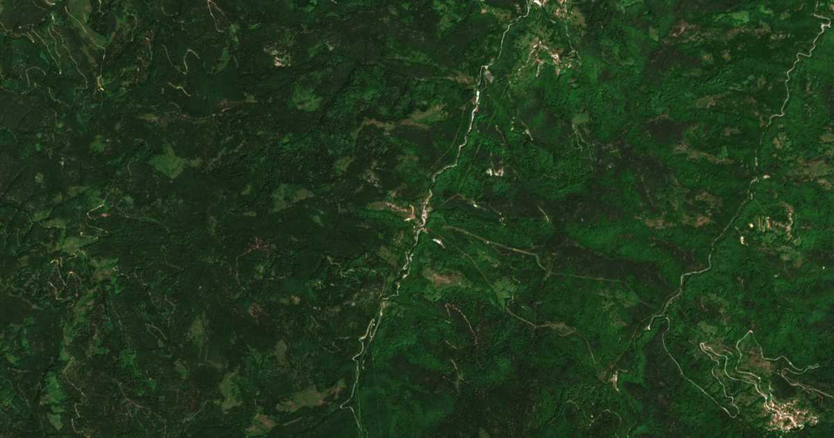 Hartă satelitară: Zdraveț