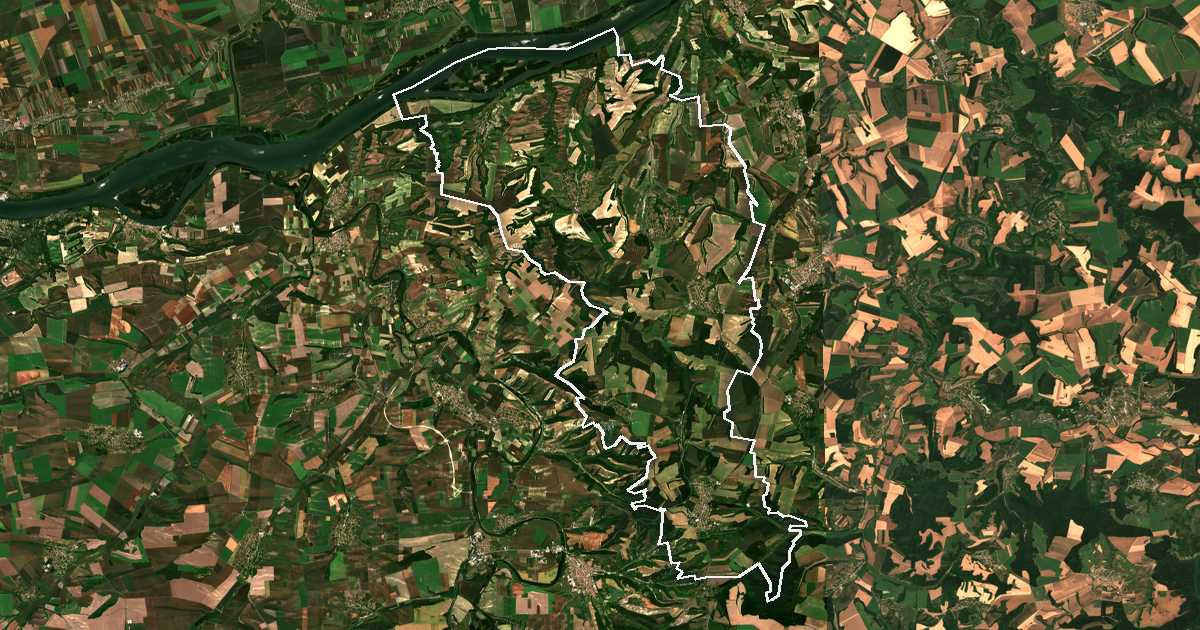 Imagine din satelit cu limita trasată: Borovo