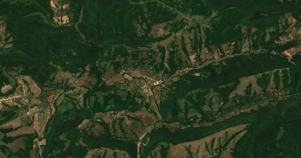 Hartă satelitară: Borinți
