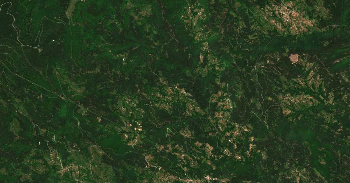 Hartă satelitară: Bosilkovo