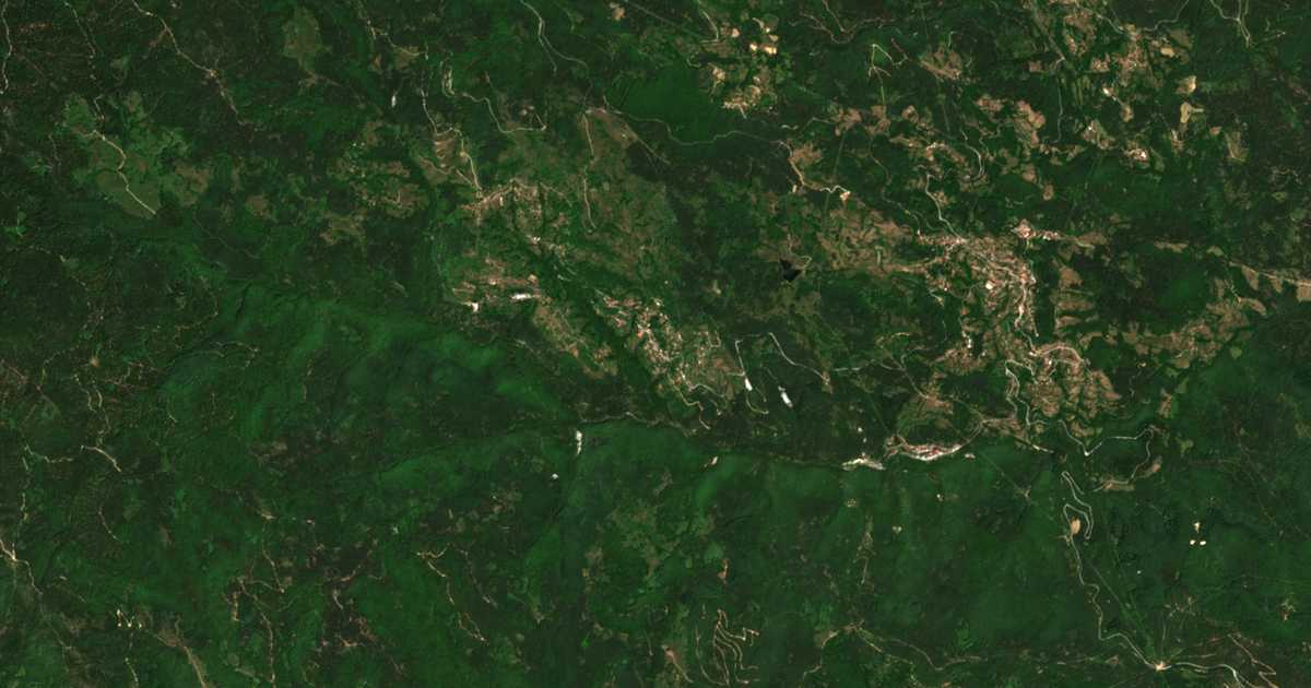Hartă satelitară: Stărnița