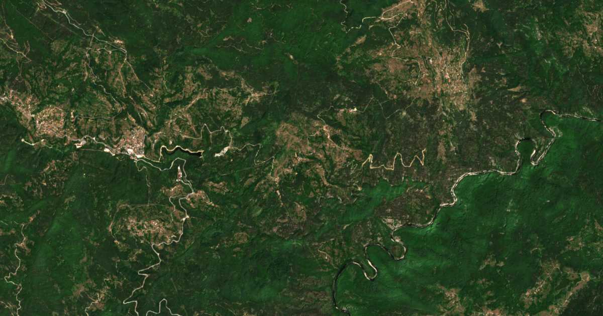 Hartă satelitară: Vișnevo