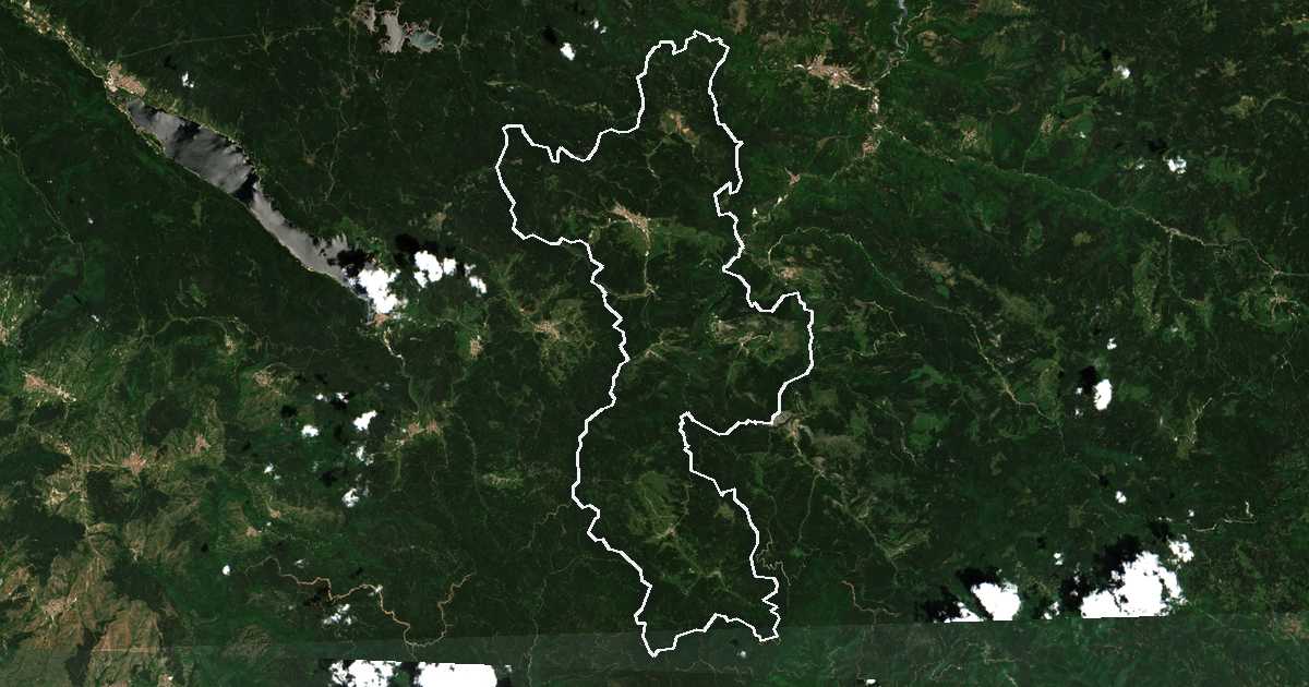 Imagine din satelit cu limita trasată: Borino