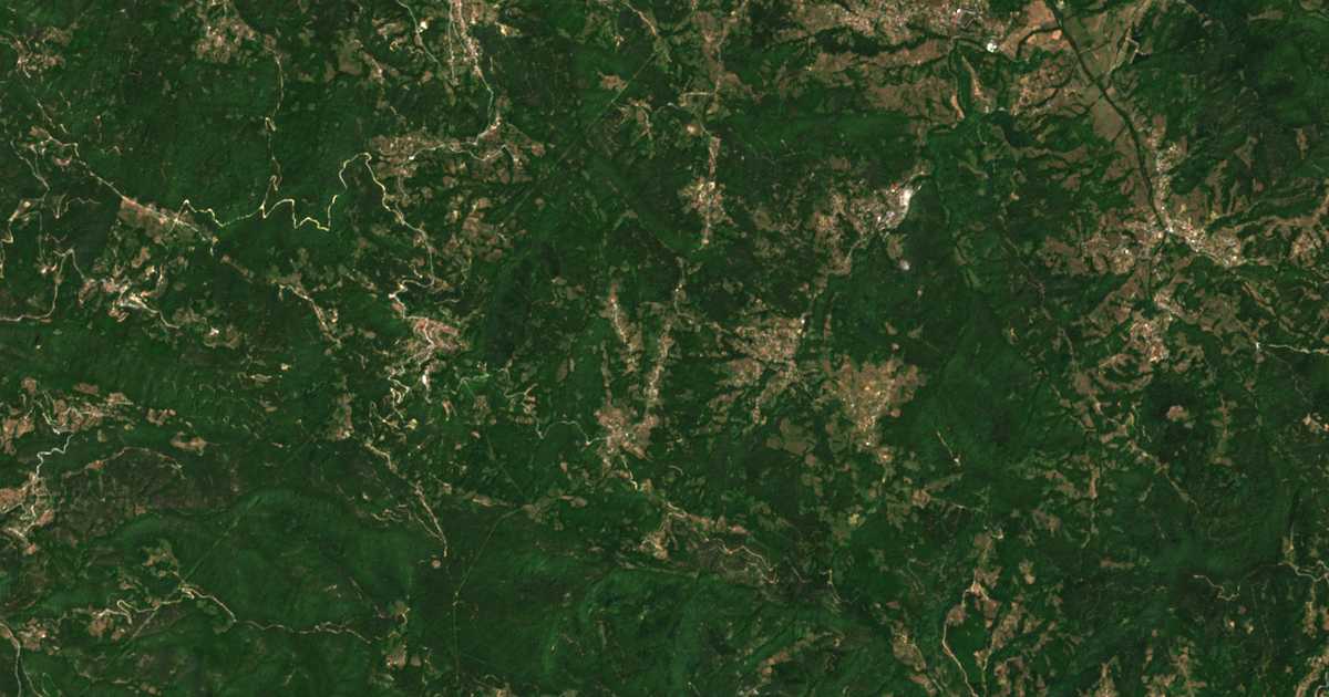 Hartă satelitară: Galiște
