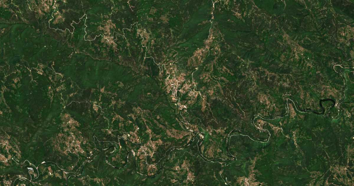Hartă satelitară: Vărbina
