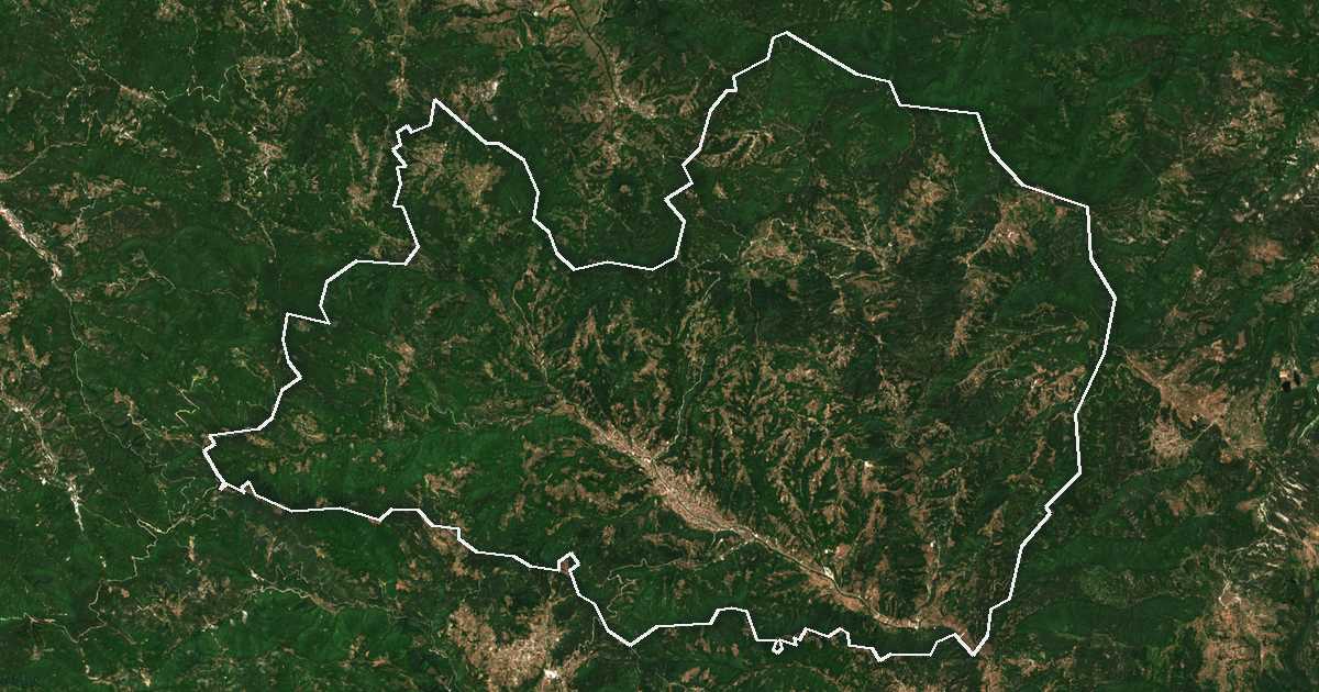 Imagine din satelit cu limita trasată: Nedelino