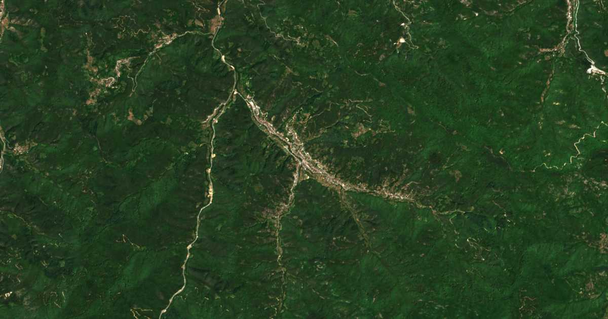 Hartă satelitară: Cepinți