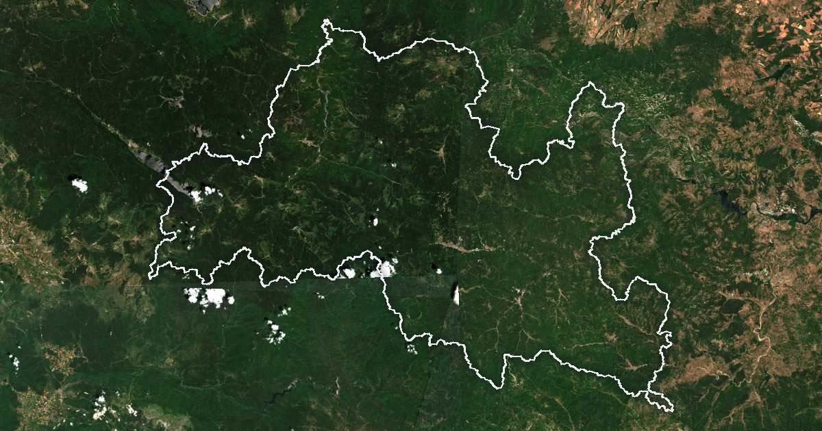 Imagine din satelit cu limita trasată: Smolean