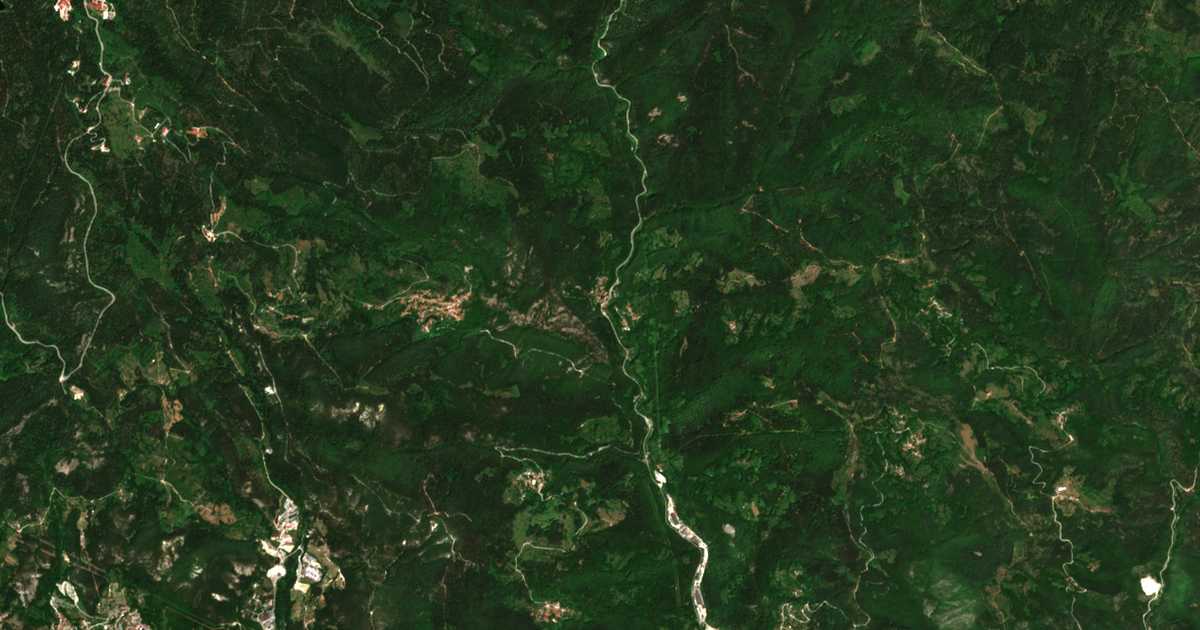 Hartă satelitară: Bostina