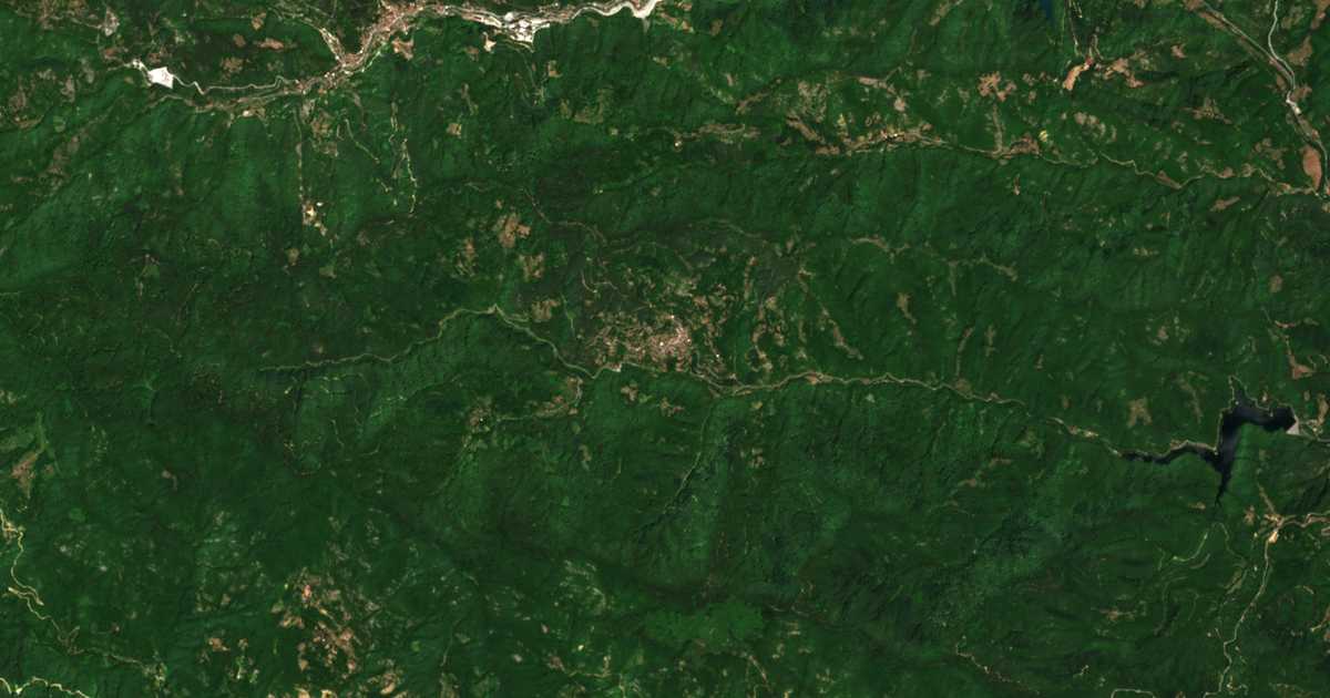 Hartă satelitară: Alamovți