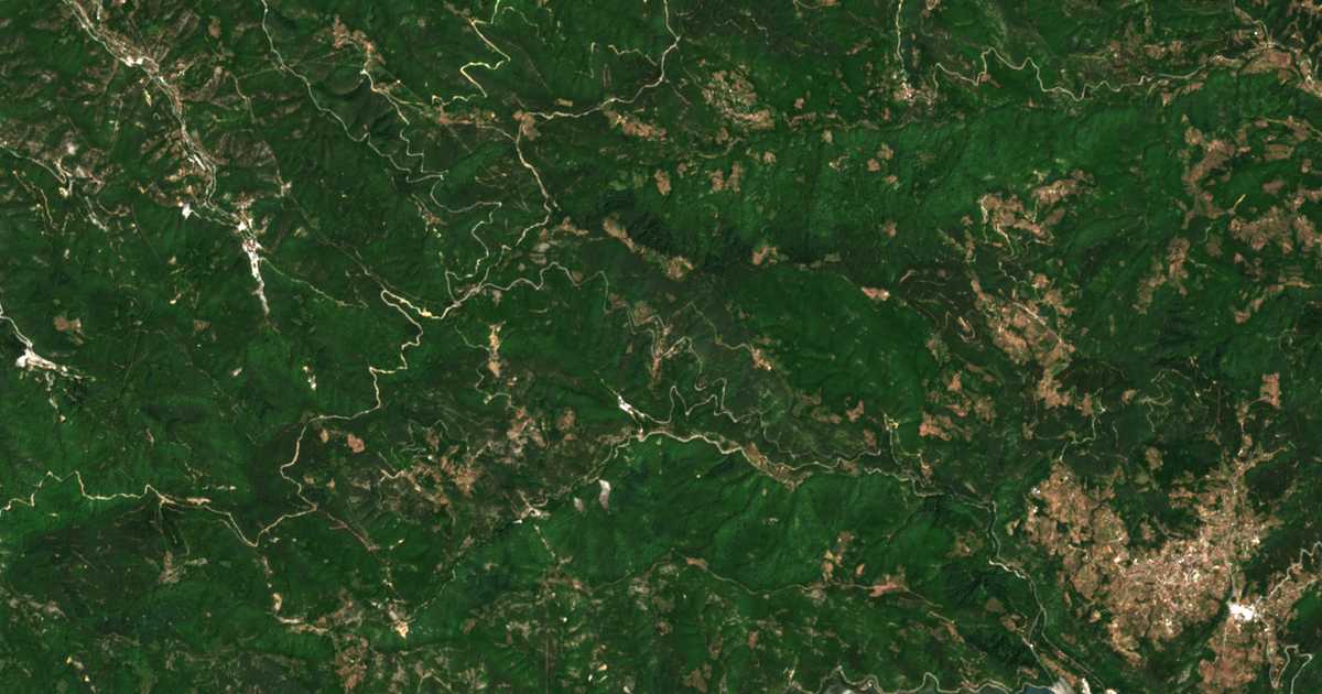 Hartă satelitară: Țațarovți