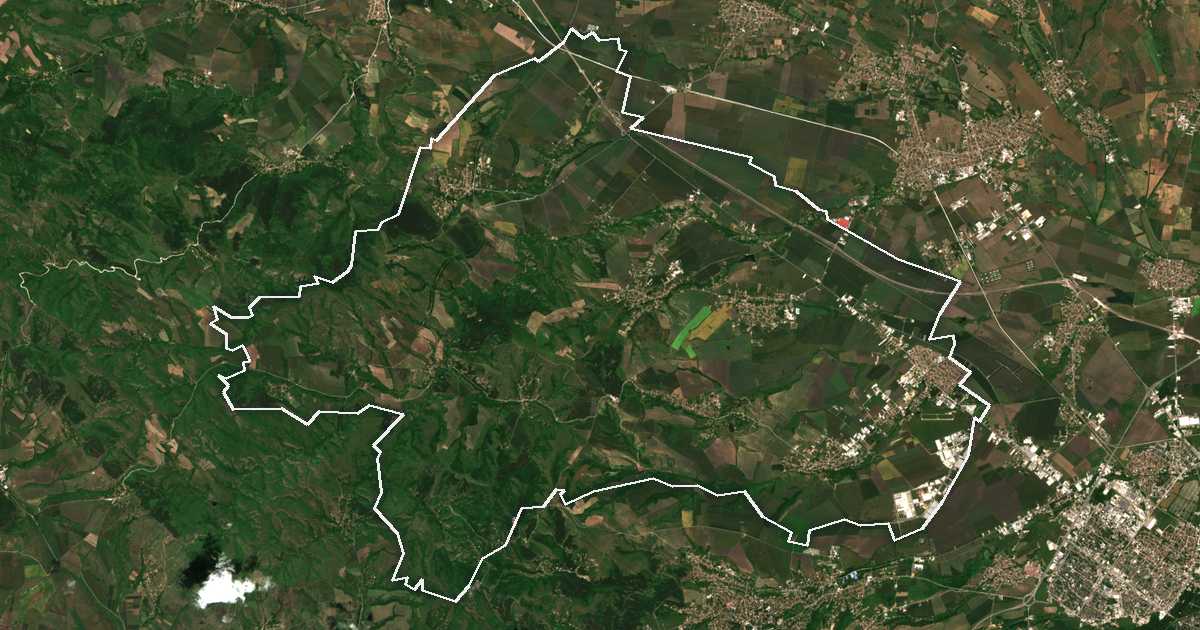 Imagine din satelit cu limita trasată: Bojuriște