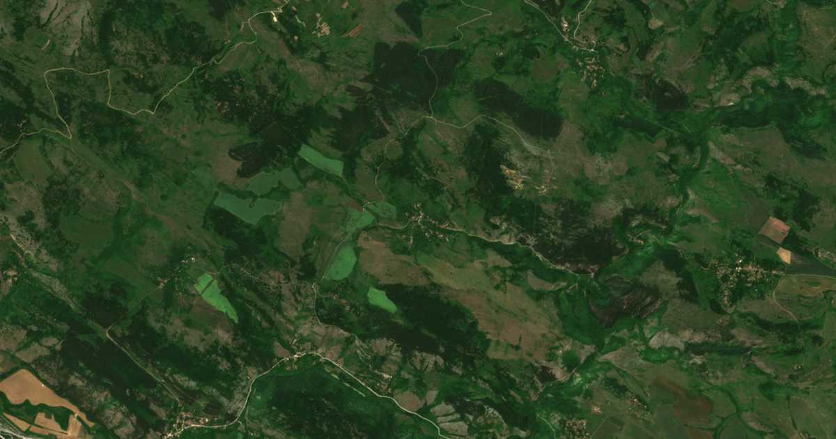 Hartă satelitară: Cepărlinți