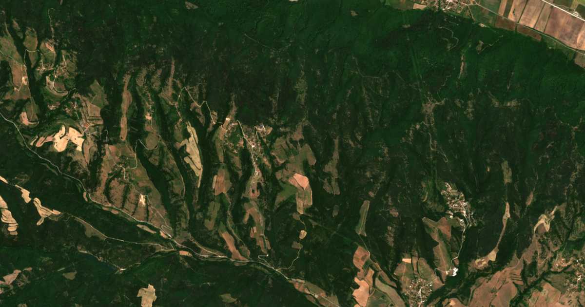 Hartă satelitară: Podgorie