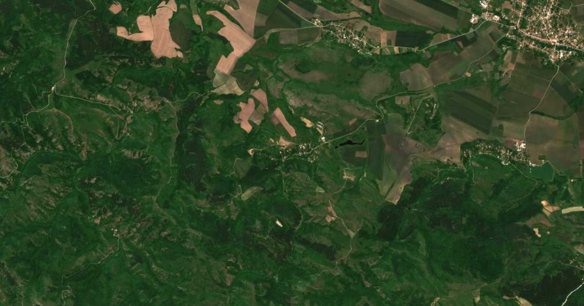 Hartă satelitară: Radulovți