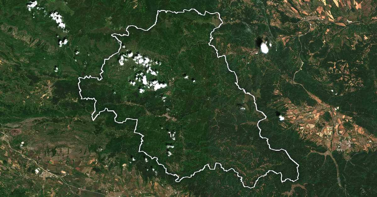 Imagine din satelit cu limita trasată: Svoghe
