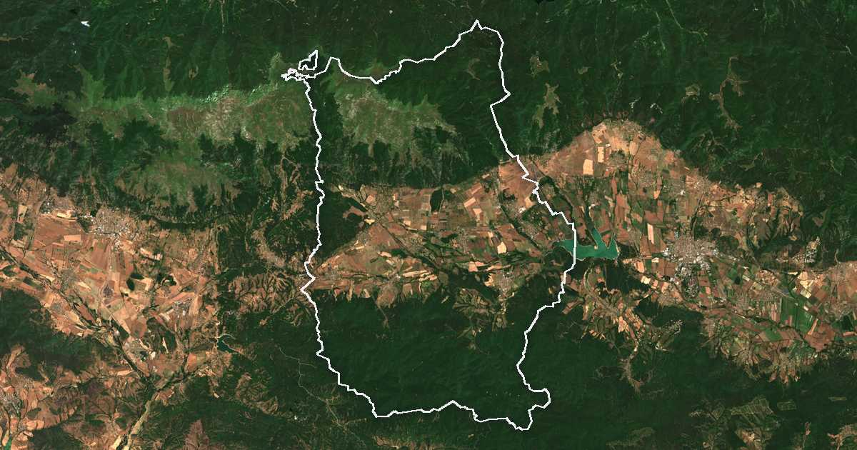 Imagine din satelit cu limita trasată: Pavel Banea