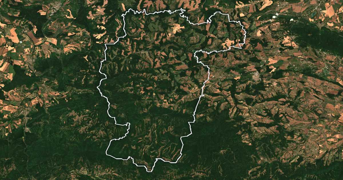 Imagine din satelit cu limita trasată: Antonovo