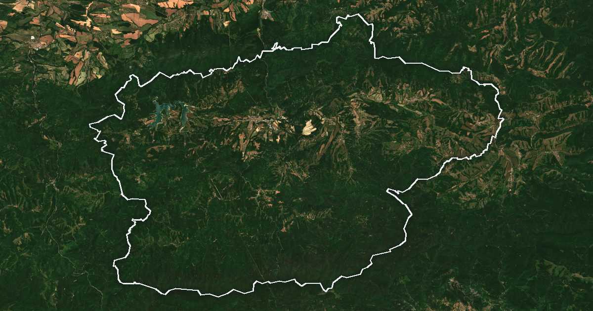 Imagine din satelit cu limita trasată: Elena