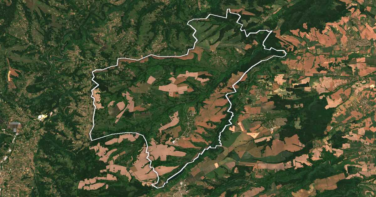 Imagine din satelit cu limita trasată: Boinița